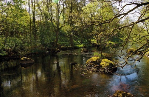 Jamshog Hotel | Liljenborg