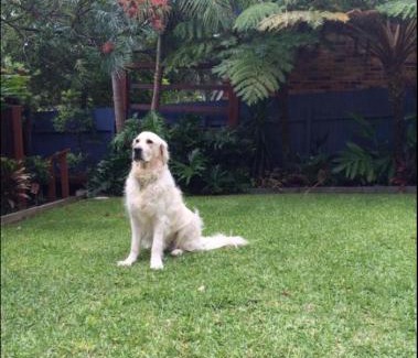 Lilli Pilli House | LILLI PILLI SUBLIME Family and Dog Friendly by the Beach