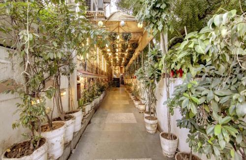 New Delhi House | Lime Stays B&B GK-2 at Greater Kailash Metro South Delhi nearby Saket Select City