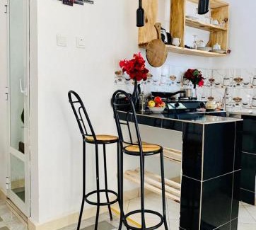 Arusha Apartment | Lions house arusha Airbnb