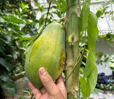 Perumbavoor House | Little Country Home