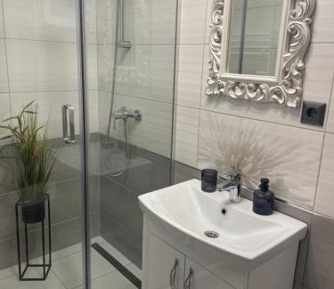 Satu Mare Apartment | LIVI Apartment 1