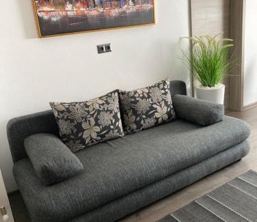 Satu Mare Apartment | LIVI Apartment 1