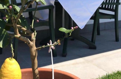 San Canzian d'Isonzo Bed & Breakfast | Locanda ai due fiumi