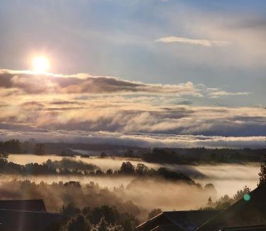 Fresia Cabin | Lodge El Sarao A Una Hora De Puerto Varas
