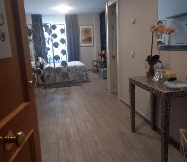 Carrion de los Condes Apartment | Loft Carrión