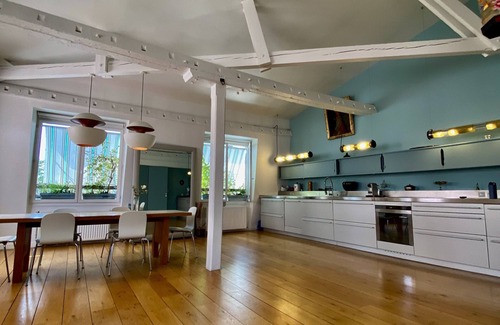 Hopital Saint-Louis Apartment | Loft Spacieux Avec Terrasse