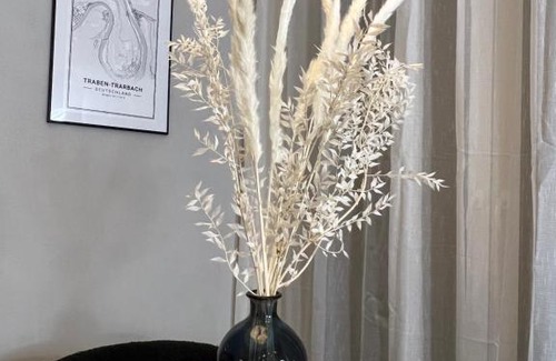 Traben-Trarbach Apartment | Loft.Wallbox.Garage.Arbeitsplatz.3P.100m zur Mosel