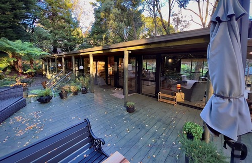 Sassafras House | 🔺Log Cabin🔺3BDR🔺2BR 🔺Quiet 🔺In Forrest