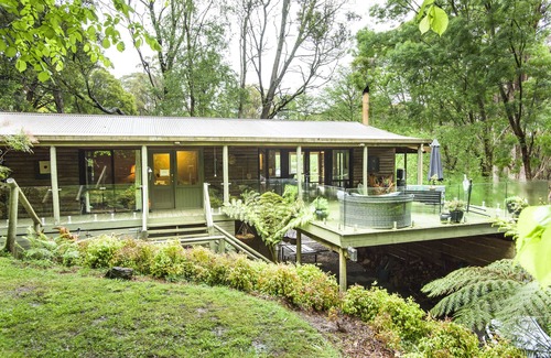 Sassafras House | 🔺Log Cabin🔺3BDR🔺2BR 🔺Quiet 🔺In Forrest