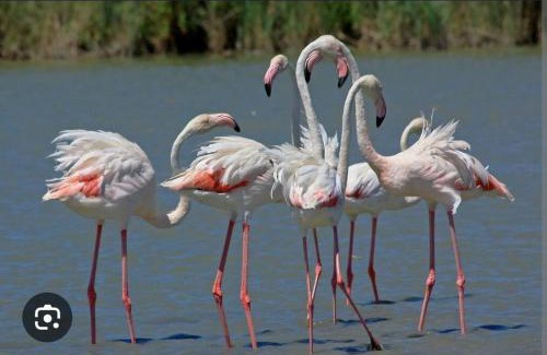 Le Grau-Du-Roi Boat Rental | Logement atypique sur l'eau aux portes de la Camargue