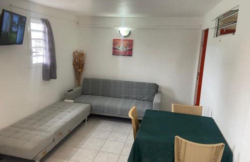 Petit-Canal Apartment | Logement de 40m2 avec terrasse, moderne et équipé