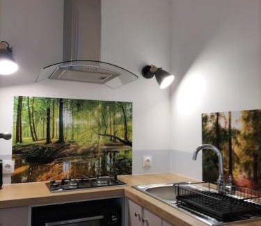 Mazieres-en-Gatine Apartment | Logement entier 3 pièces et terrasse