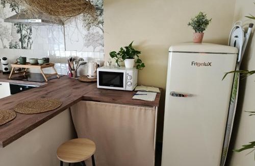 Cour-Cheverny Apartment | Logement entier - Chambre bali - sdb - cuisine