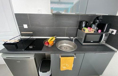 Porte Des Alpes - Mi Plaine - Manissieux Apartment | Logement prive et calme EUREXPO Groupama Stadium TRAM Parking Terasse