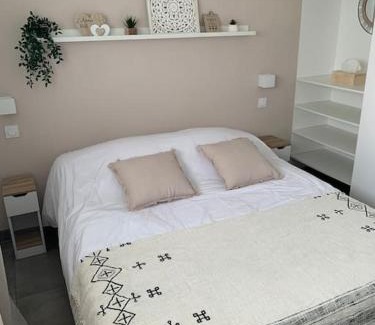 Brain-sur-l'Authion Apartment | Logement T2 indépendant 10 mn Angers