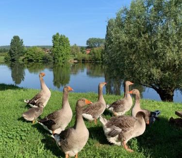 Badefols-sur-Dordogne Hotel | Logis-Hôtel Côté-Rivage