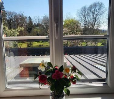 Domfront en Poiraie Hotel | Logis Hôtel De France- Restaurant GRILL