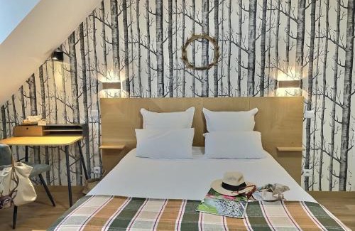 Bracieux Hotel | Logis Hôtel du Cygne