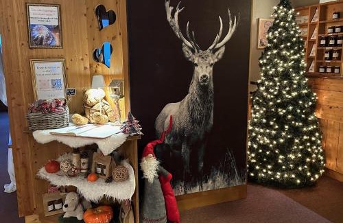 Hohrodberg Hotel | Logis Hôtel Restaurant Panorama