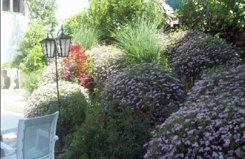 Saint-Cirgues-de-Jordanne Hotel | LOGIS HOTEL Les Tilleuls