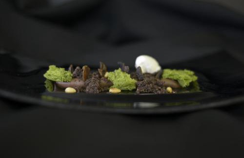 Niederschaeffolsheim Hotel | Logis Hotel Restaurant Au Boeuf Rouge