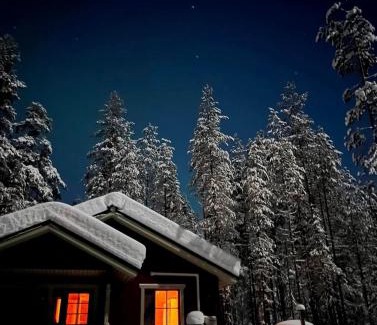 Syote Apartment | Lomanaamanka Naava-hirsimökki