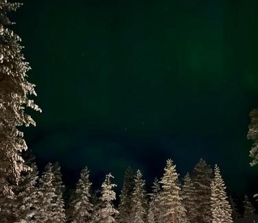 Syote Apartment | Lomanaamanka Naava-hirsimökki