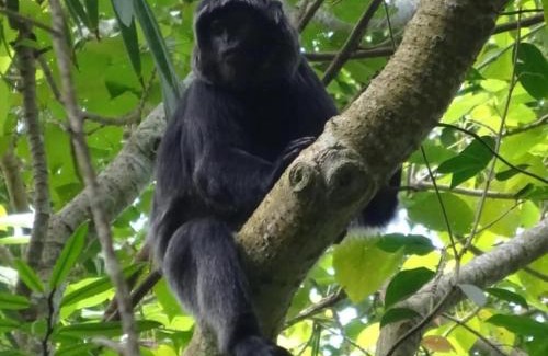 Tetebatu Hotel | Lombok Hidden Villa