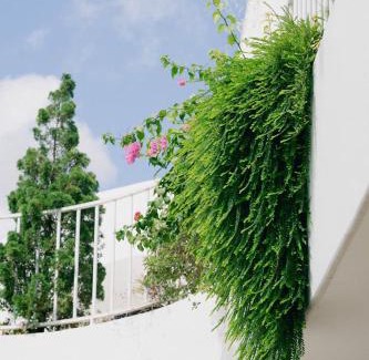 Nghia Hanh House | Lotus Home Quảng Ngãi