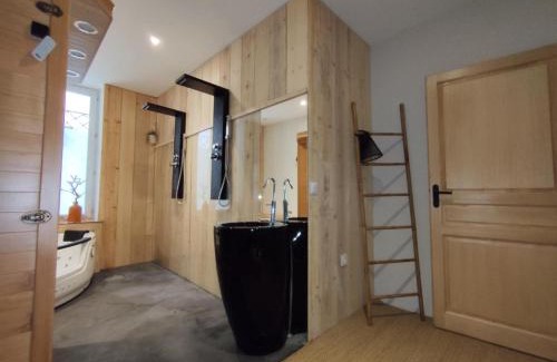 Romans-sur-Isere Apartment | Loubottine sauna and balnèo