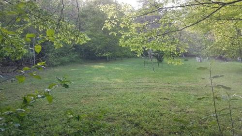Sougeres-en-Puisaye House | Lovely 2-Bed shepherds hut in a Forest
