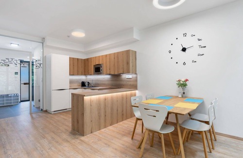 Janov nad Nisou Apartment | Lovely apartment for 6 guests with WIFI, TV and terrace