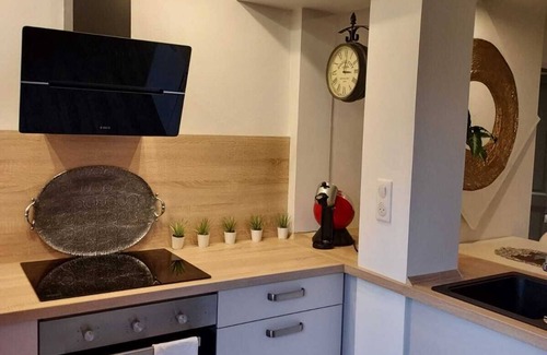 Mulhouse Apartment | Lovely apartment - terrace and private garden.