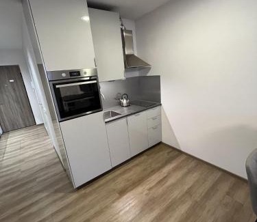 Snipiskes Apartment | Lovely Flat with Great Central Location Vilnius