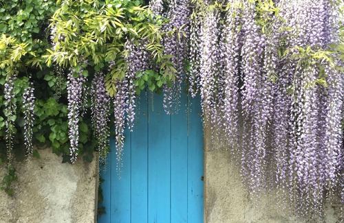 Arroses House | Lovely gîte nestled amongst vineyards and sunflower fields in SW France.