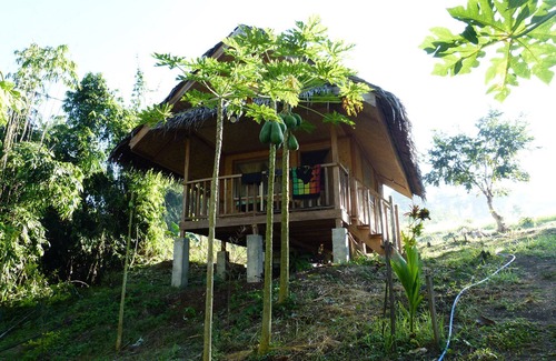 San Pedro Cottage | Lovely Guesthouse in Paradise Garden