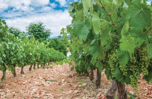 Constantina House | Lovely Home In Constantina, Sevilla