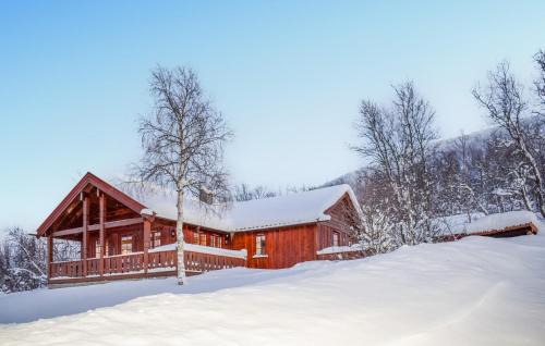 Hol Municipality House | Lovely Home In Geilo With Wifi