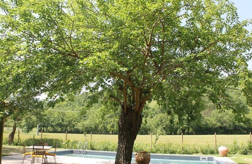 Bivio Lugnano Cottage | Lovely stone cottage with private pool in Cortona area