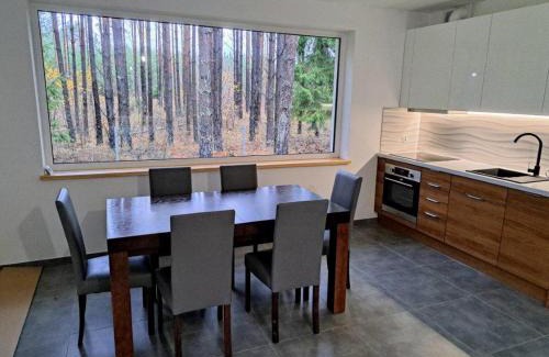 Płaska Villa | Luksusowy dom w sosnowym lesie