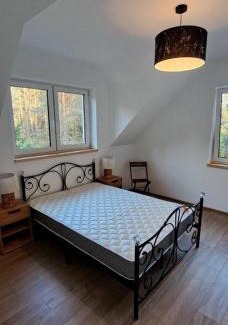 Płaska Villa | Luksusowy dom w sosnowym lesie