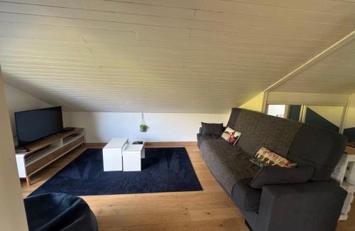 Annecy-le-Vieux Apartment | Lumineux, vue montagne