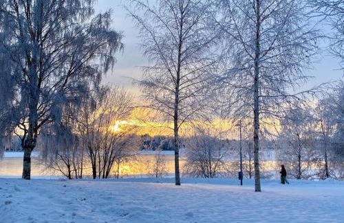 Oulu Apartment | LUX OULU 5 stylish apartment