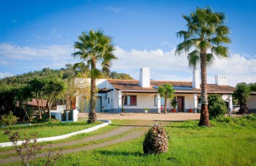 Luzianes Villa | Luxe villa for 8 - Private Pool -AC -BBQ Area - Patio - 160Mbps - Olives - Palm - vineyard