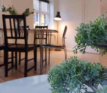 Aalborg Apartment | Luxurious 2 bedroom apartment near Jomfru Ane Gade