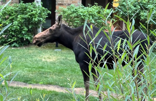 Wilson Resort | Luxurious 3 BR, 3 Bath Villa located within Four Seasons Jackson Hole Resort