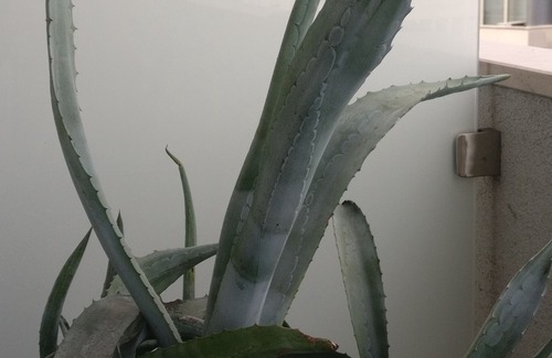 Pordenone Apartment | Luxury apartment with a view