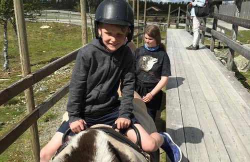 Nore og Uvdal House | Luxury cabin in the mountains with all facileties