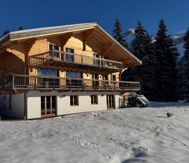 Ormont-Dessus Ski Chalet | Luxury chalet in Les Diablerets Villars ski area